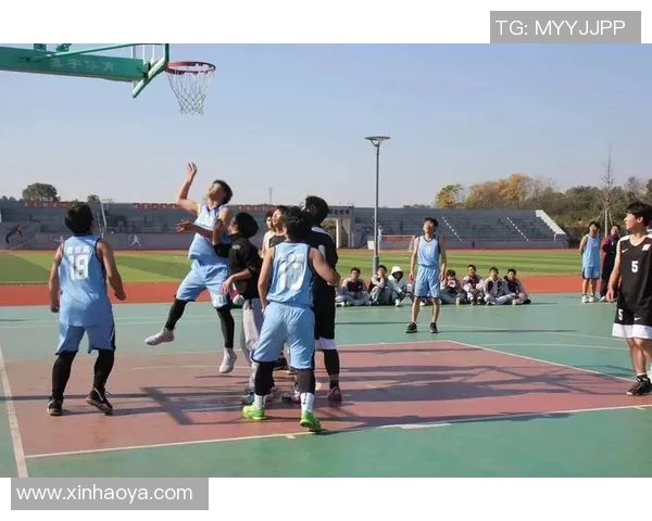 何明星篮球：探索明星球员背后的奋斗故事与赛场魅力